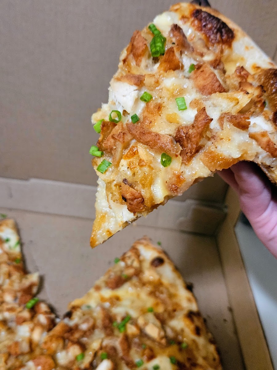 Moto Pizza Sandwich-4