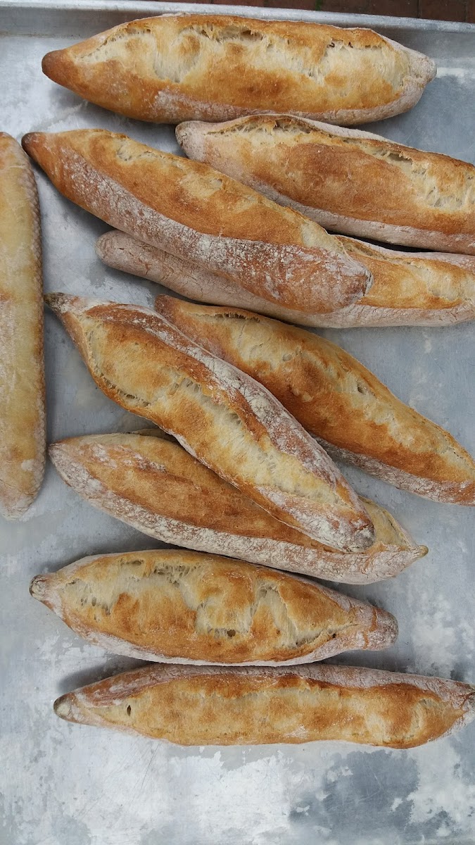 Moto Pizza Sandwich-6