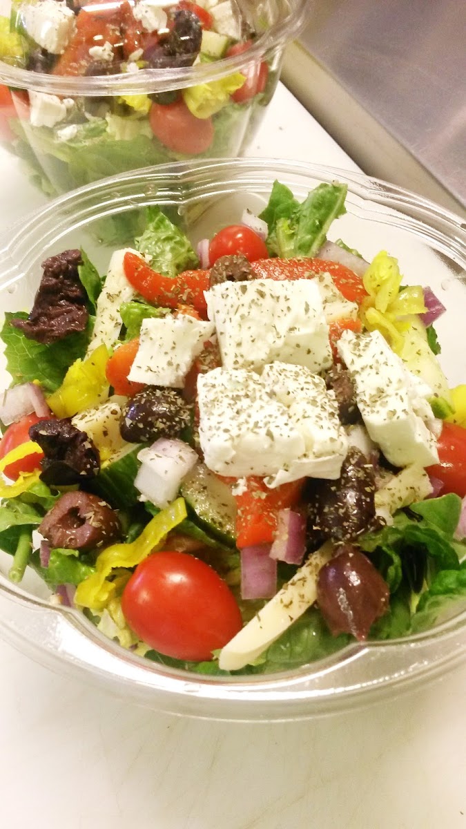 Moto Pizza Sandwich-8